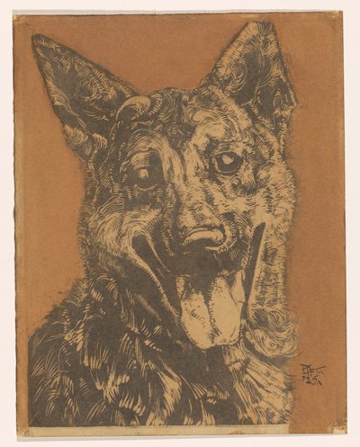 Hond Cees de Dick Ket (signed by artist)