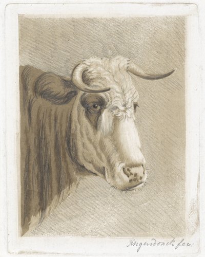 taza de galletas de Diederik Jan Singendonck (signed by artist)