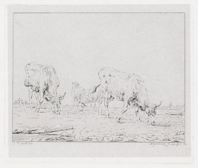 vacas pastando de Diederik Jan Singendonck