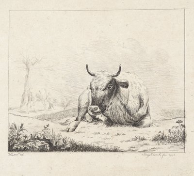 vaca mentirosa de Diederik Jan Singendonck
