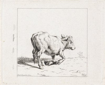 Becerro en ascenso de Diederik Jan Singendonck