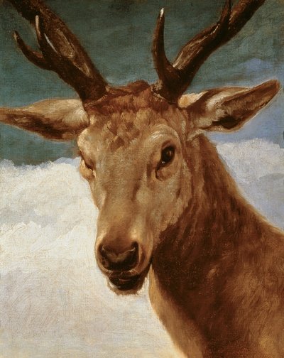 Cabeza de un ciervo, 1634 de Diego Velázquez