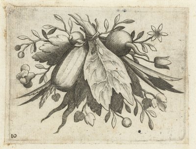 Festoen van Vrutten Pequeño libro de frutas útil para viajar (título de la serie) de Dietrich Krüger (attributed to)