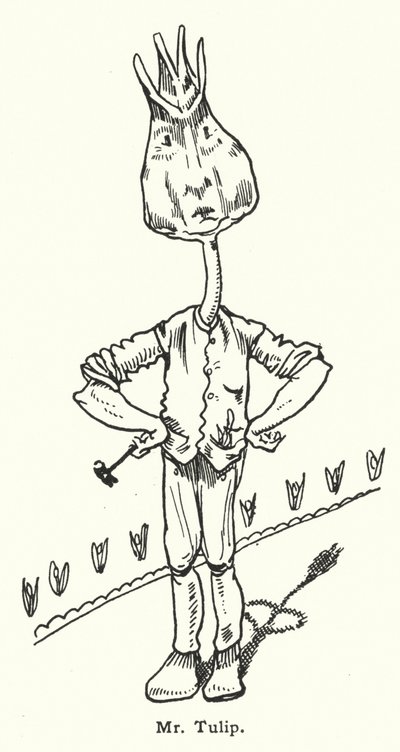 Señor Tulipán de Dion Clayton Calthrop