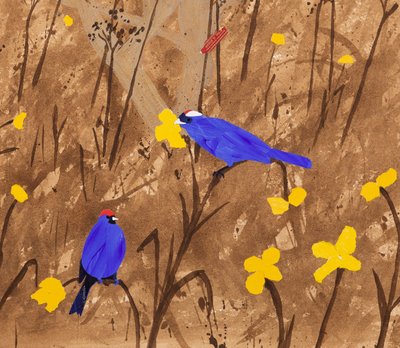 Colores primarios (Diadem Tanagers  Ceibo tree) (acrílico y collage) de Dione Verulam