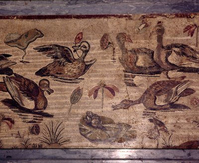 Mosaico romano de Pompeya de patos y ranas en un jardín acuático, siglo I de Dioscurides of Samos