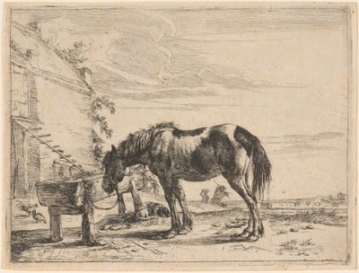 Un Caballo Atado a un Pesebre de Dirck Stoop