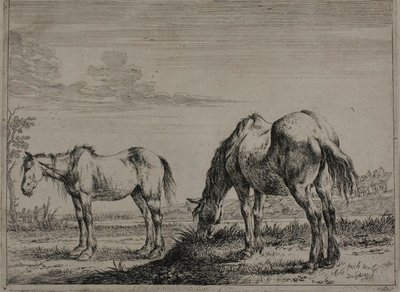 Caballo pastando, placa tres de la Serie de Caballos de Dirck Stoop