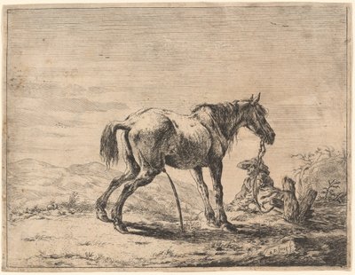 Caballo encabritado cerca de un establo de Dirck Stoop