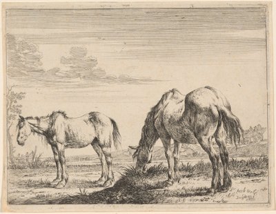 Dos Caballos Pastando de Dirck Stoop