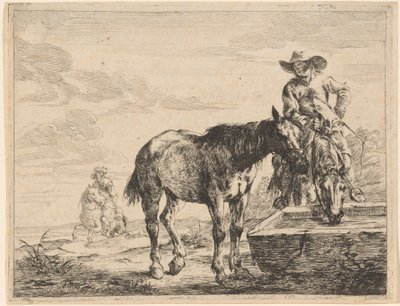 Dos caballos bebiendo en un abrevadero de Dirck Stoop