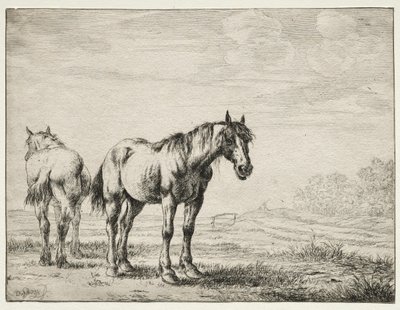 Dos Caballos de Arado de Dirck Stoop
