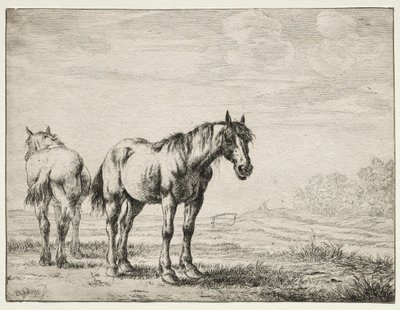 Dos caballos de arado de Dirck Stoop