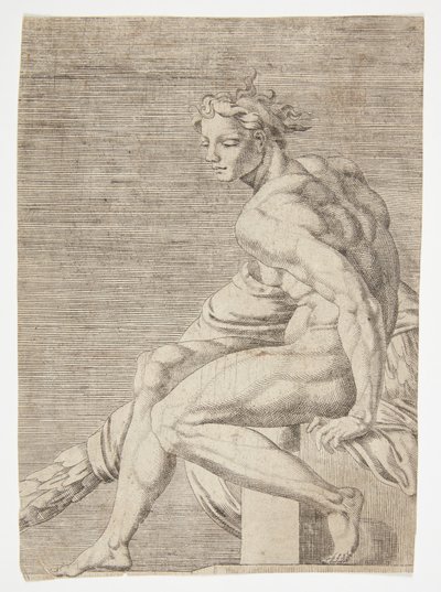 Desnudo de la Capilla Sixtina de Dirck Volckertsz. Coornhert