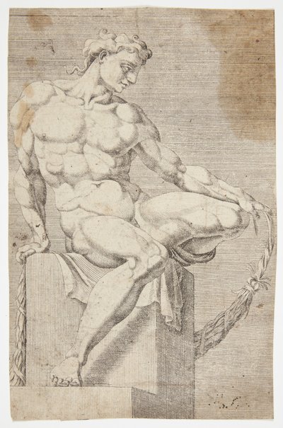 Desnudo de la Capilla Sixtina de Dirck Volckertsz. Coornhert
