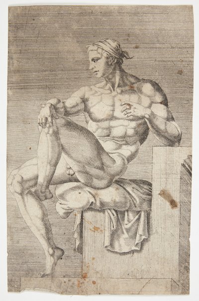 Desnudo de la Capilla Sixtina de Dirck Volckertsz. Coornhert
