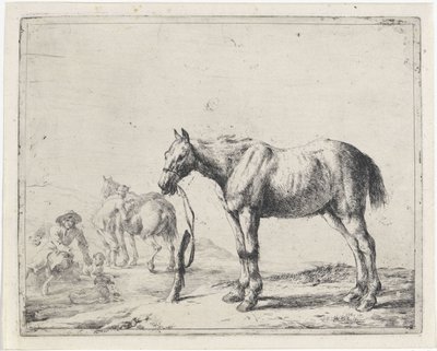 Caballo atado a un poste a la izquierda Caballos (título de la serie) de Dirk Stoop