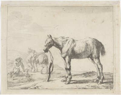 Caballo atado a un poste a la izquierda Caballos (título de la serie) de Dirk Stoop