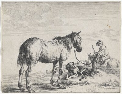 Caballo atado a un poste Caballos (título de la serie) de Dirk Stoop