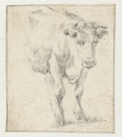 Estudio de una vaca de Dirk Stoop