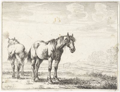 Dos caballos en un paisaje Caballos (título de la serie) de Dirk Stoop