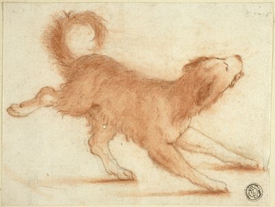 Perro gruñón listo para atacar de Dirk Valkenburg