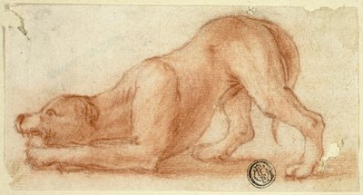 Perro peludo saltarín de Dirk Valkenburg