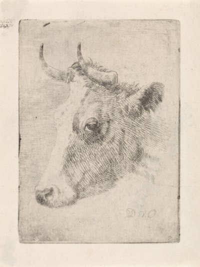 cabeza de toro de Dirk van Oosterhoudt
