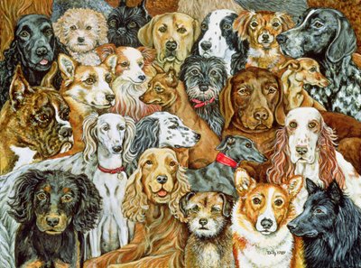 Extensión de perro, 1989 de Ditz