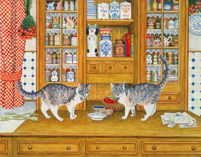 Gatos en el aparador de Ditz