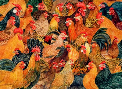 Aves finas de Ditz