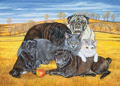 Gatos Pug del Condado de Hocking, 1995 de Ditz