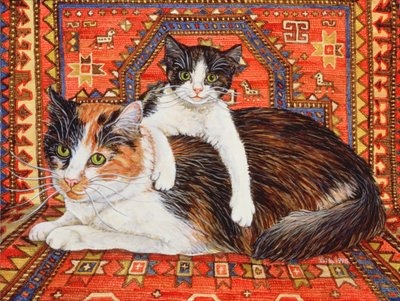 Kit-Cat-Carpet de Ditz