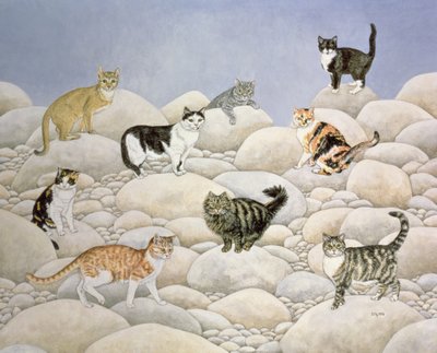 Gatos del Valle de Lynn de Ditz