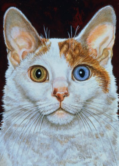 Minette, 1996 de Ditz
