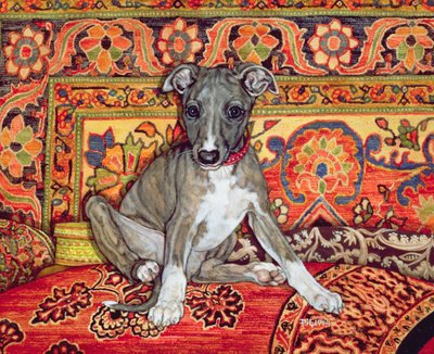 Mi galgo bebé, 1994 de Ditz