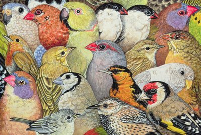 Pájaros de Retazos de Ditz