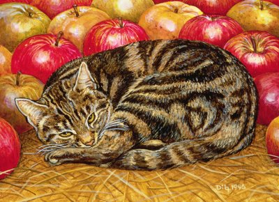 Manzana-Gato Diestro de Ditz