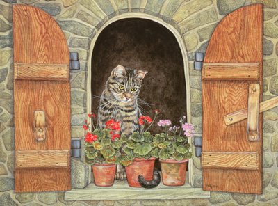 La ventana de Susie de Ditz