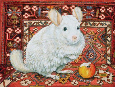 La alfombra-chinchilla, 1992 de Ditz