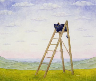 El gato de la escalera de Ditz