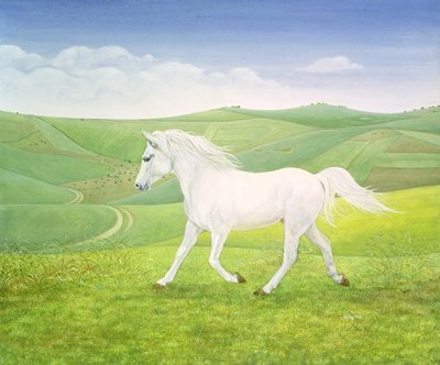 El caballo del paisaje de Ditz