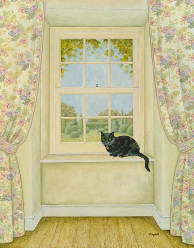 El gato de la ventana de Ditz