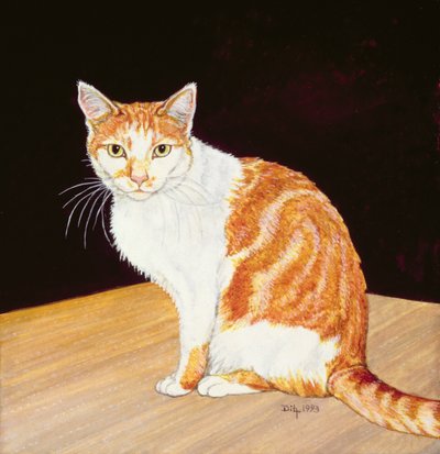 Tomás de Ditz