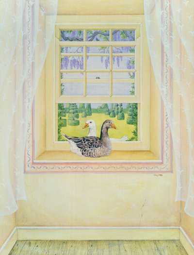 Gansos en la ventana de Ditz