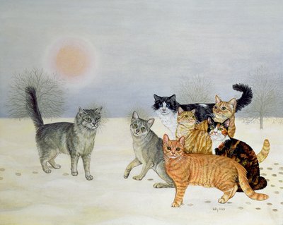 Gatos de invierno de Ditz