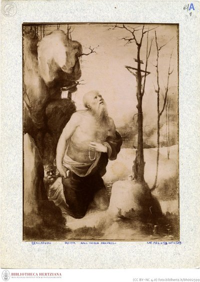 Beccafumi - Jerónimo penitente, n° de inventario 166 de Domenico Beccafumi