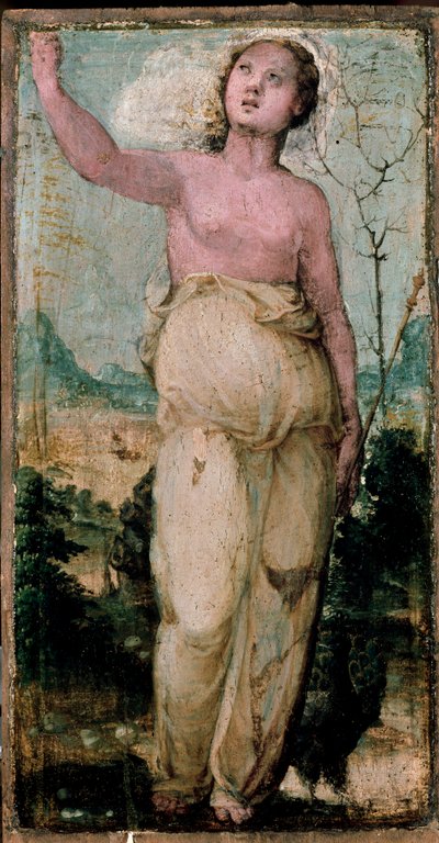 Figura femenina de Domenico Beccafumi