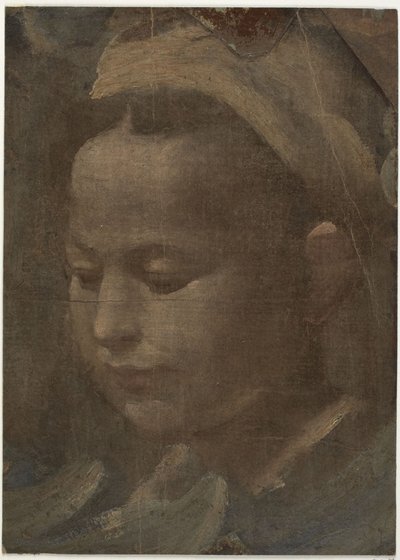 Cabeza de una joven de Domenico Beccafumi