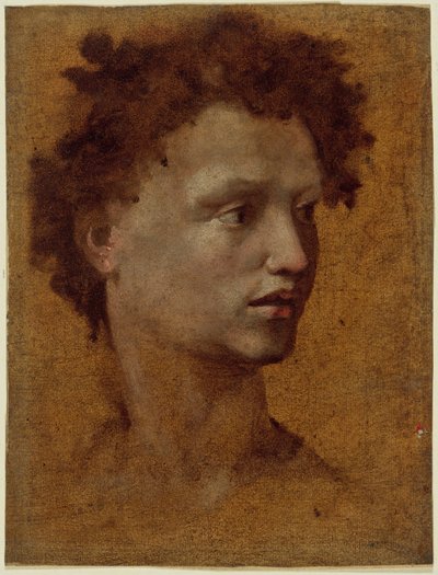 Jefe de una Juventud de Domenico Beccafumi